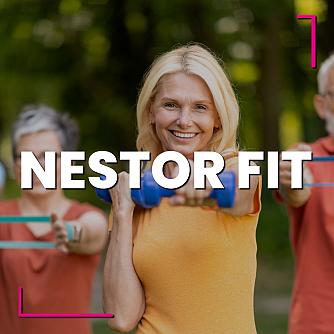 nestorfit website